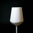 DSC01851.jpg Best 3D Wine Glass Model!