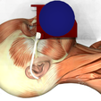 Masque Final2 - orientation 11°2.png Dual Filter Respirator Mask - Dual Filter Respirator Mask -#3DvsCOVID19 - #HACKTHEPANDEMIC