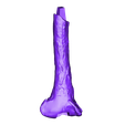 Tibia_Right_Part_02.OBJ Life size baby T-rex skeleton - Part 03/10