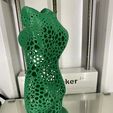 IMG_0819.jpg STL-Datei Weiblicher Torso (Voronoi)・3D-druckbares Modell zum Herunterladen