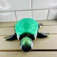IMG_6813.jpg Flexy Aquatic Turtle! Turticorn included!