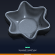08_printed_proof.png Starfish Soap Dish - 3D Printable STL File