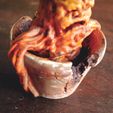 8.jpg STL file Mandrake Plant - Harry Potter・3D printer model to download