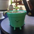 WhatsApp-Image-2021-12-11-at-21.44.23-3.jpeg Download STL file pot cute extended version succulent planter • Model to 3D print, guvenonru