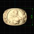Measures-1.jpg zeus ring