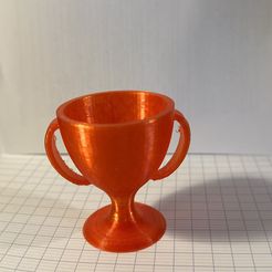 IMG_6317.jpg Small trophy, simple cut