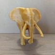 Elephant_print_frontview.jpg African Animal Collection #2