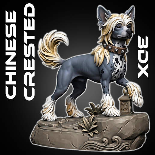 Chinese Crested Dog STL | Stilyzed Printable Figure by 3DX