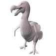 dodo3.png Dodo