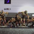 Nekhron Flayed ones