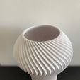 IMG_6677.JPG Twisted Vase Lamp/Lampara Espiralizada