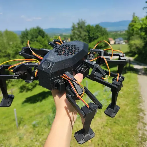 Hexapod - under 100€