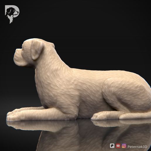 Boxer-Pose-09-Dog-3D-Print-7s.jpeg Chien Boxer Modèle imprimé en 3D Pose 09