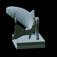 Rainbow-trout-trophy-34.png rainbow trout / Oncorhynchus mykiss fish in motion trophy statue detailed texture for 3d printing