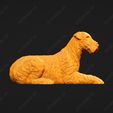 215-Airedale_Terrier_Pose_09.jpg Airedale Terrier Dog 3D Print Model Pose 09