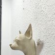 IMG-20250621-WA0021.jpg chihuahua dog head wall mount stl