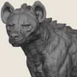 Wild-Hyena-02.jpg Wild Hyena Print Ready 3D Model