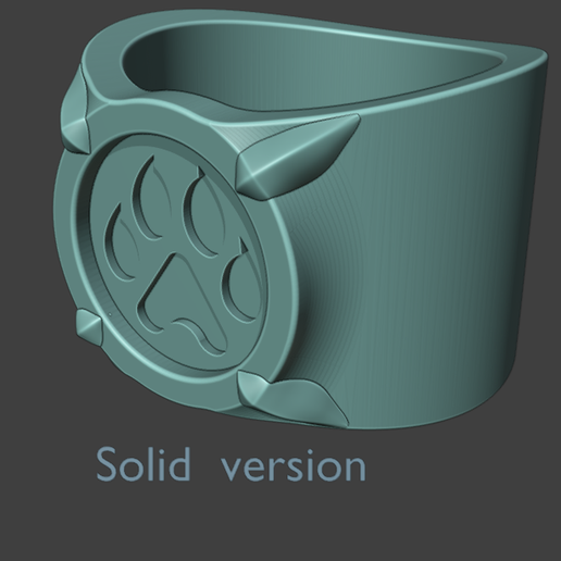 Cat noir ring cosplay LADYBUG