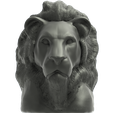 face.png Lion head large size