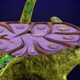 lymph-node-lymphatic-system-3d-model-fbx-blend-29.jpg Lymph node Lymphatic system 3D model