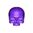 skull without lower jaw and without teeth_READY_to_print_OBJ.obj Skull detailed