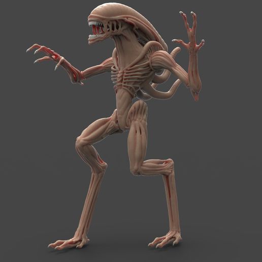 Alien_Final_Pose_1.382.jpg Alien Pose