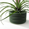 misprint-8348.jpg The Quen Planter Pot with Drainage | Tray & Stand Included | Modern and Unique Home Decor for Plants and Succulents  | STL File