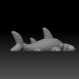 KHS-6.jpg Knitted Hammerhead Shark