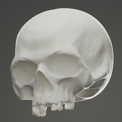 Skull
