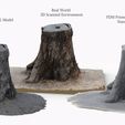 single_tree_stump_turntable_tree_fix_2.jpg 3D Scanned Tree Stump for Tabletop Scatter Terrain