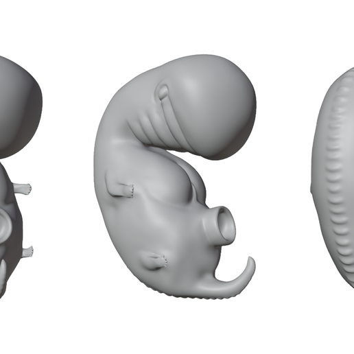4_Weeks_Matcap_02.png 4 Weeks Human embryonic (baby stages)