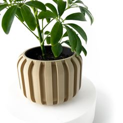 misprint-2.jpg The Panu Planter Pot with Drainage | Tray & Stand Included | Modern and Unique Home Decor for Plants and Succulents  | STL File