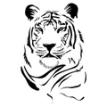 sergha