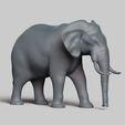 R03.jpg elephant pose 03
