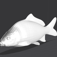 fish.png Poisson