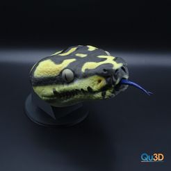 3599004202.jpg Fichier 3D Python losange/diamant (Morelia Spilota) - Fichier d'impression 3D-STL・Objet pour impression 3D à télécharger