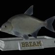 Bream-statue-4.png fish Common bream / Abramis brama statue detailed texture for 3d printing
