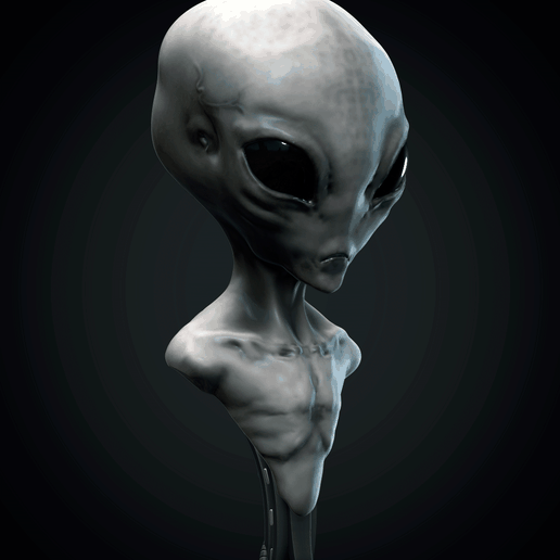 render-1-grey-alien.png GREY ALIEN BUST MODEL
