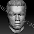 ArnoldSchwarzenegger_Head3dScan8.jpg 3D-сканированное изображение головы Арнольда Шварценеггера Lifecast Head (Терминатор, T800, Хищник, Конан-варвар, Коммандос, Полный отзыв, Правдивая ложь, Бегущий человек)