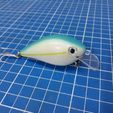 20201115_220834.jpg CrankBait 2.5"