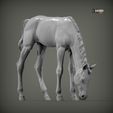foal-eats3.jpg Escultura Potro come