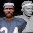 Cover.jpg Walter Payton NFL Star textured bust