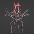 18.png 3D Model of Brain and Blood Supply - Circle of Willis