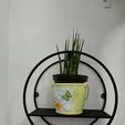 IMG20240612182141.jpg Decorative Circular Wall Shelf