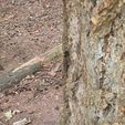 20250907_134833.jpg Airsoft Flintlock Musket