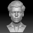 1.jpg Télécharger fichier Impression 3D du buste d'Harry Styles aux formats stl obj prêts à l'emploi • Design pour impression 3D, PrintedReality