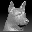 14.jpg German Shepherd head for 3D printing