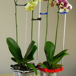 Gross-Orchdee-1.jpg Download STL file Hydro potted orchid / Hydro pot orchid • 3D print design, kendoo