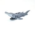 hammerhead-shark_jaw.jpeg Flexi-Hammerhai
