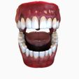 View1.jpg Mouth